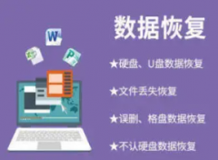 服务器故障维修、系统崩溃修复、数据备份恢复、远程 / 上门排