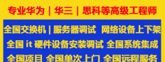 专业机房IT设备巡检服务｜服务器+网络设备+防火墙+UPS全